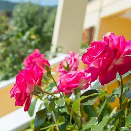 Daire Endless Blue Koinira