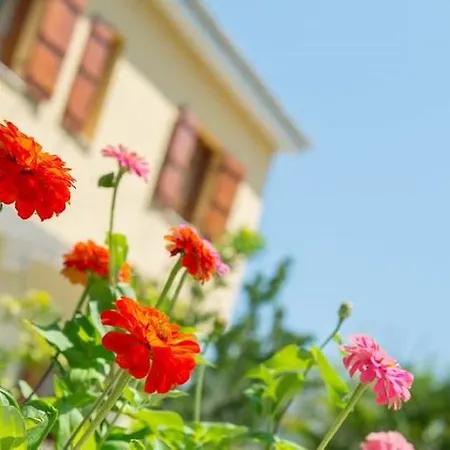 Daire Endless Blue *