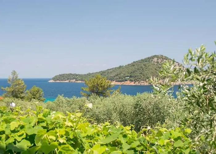 Endless Blue 코이니라