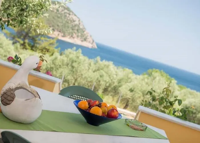 아파트 Endless Blue 코이니라